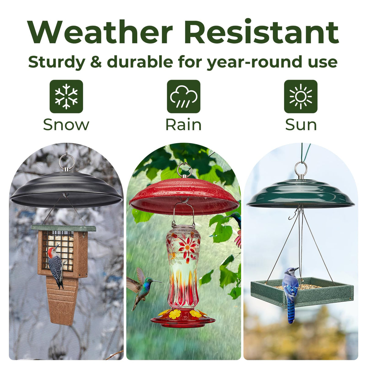 Kingsyard green protective dome enhances backyard birdwatching without fuss