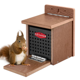 Kingsyard Squirrel Feeder Box outside in green, durable recycled plastic.