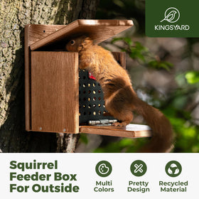 Kingsyard Squirrel Feeder with removable metal front panel for easy cleaning.