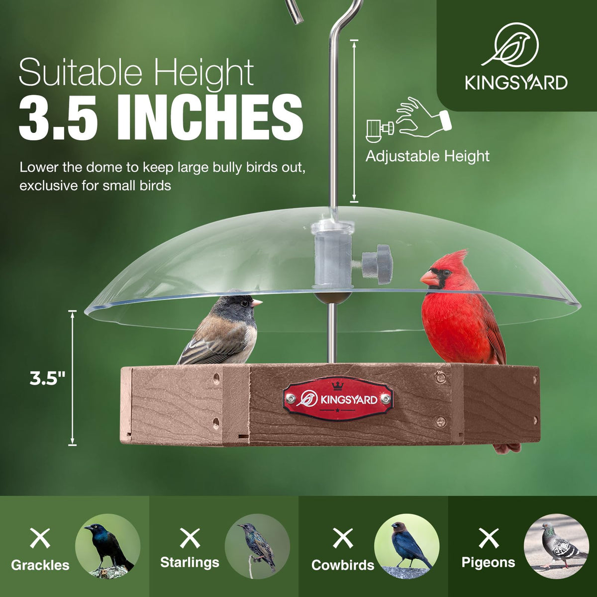 Kingsyard squirrel-proof dome deters pests to protect seed access for birds