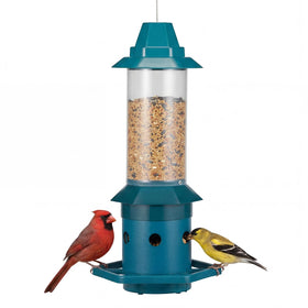 Kingsyard squirrel-proof feeder exterior with weatherproof finish for year-round use.