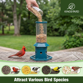 Kingsyard feeder seed compartment with drainage keeps seeds dry.