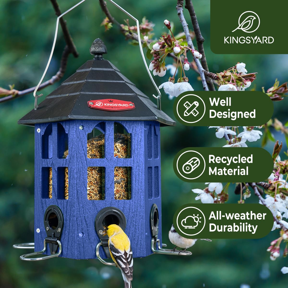 Kingsyard squirrel-resistant feeder with metal perch supports multiple birds.