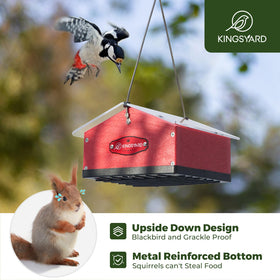 Kingsyard squirrel-seal bottom helps prevent nibbling and keeps food fresh.
