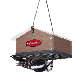 Kingsyard upside-down double suet feeder front view shows dual blocks designed for woodpeckers.