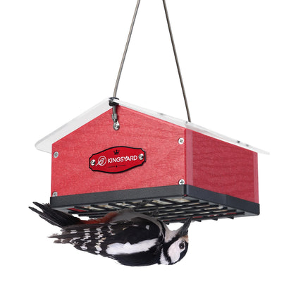 Kingsyard upgraded upside-down double suet feeder demonstrates a secure design for woodpeckers and nuthatches.