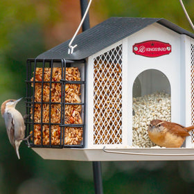 Kingsyard viewing window; monitor seed levels without disturbing birds
