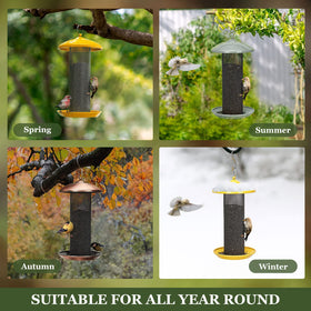 Kingsyard yellow finish adds garden appeal while attracting finches.