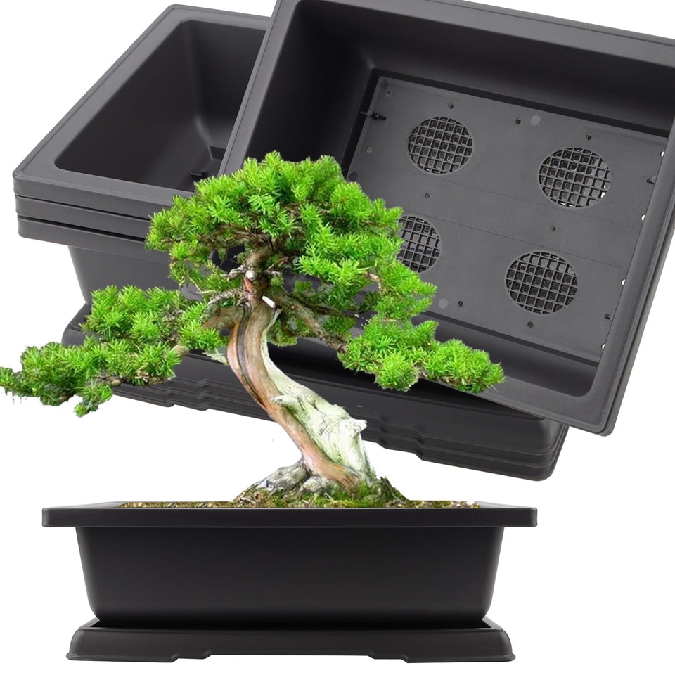 KINJOEK 14 inch rectangular bonsai pot with tray ideal for training young trees indoors