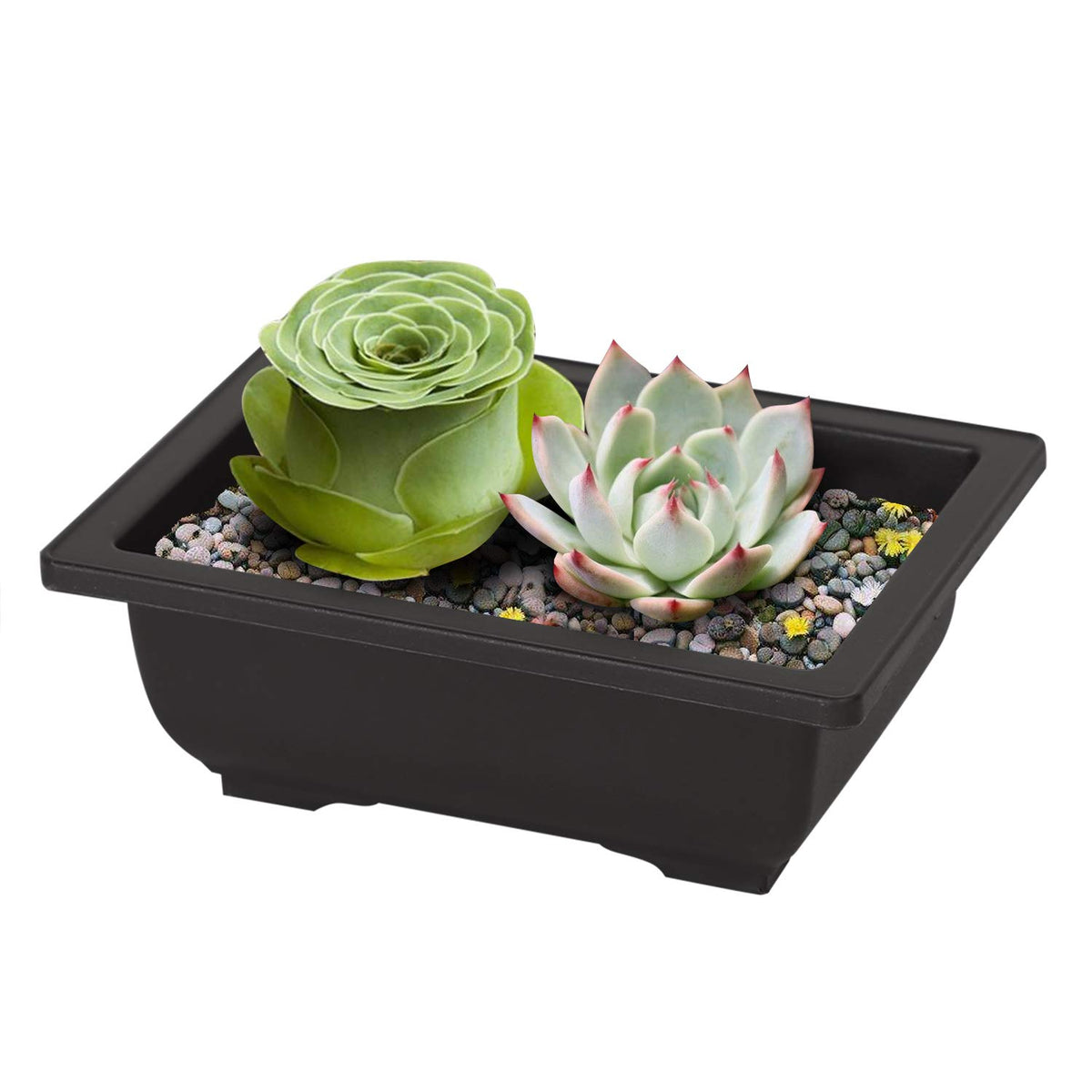 Compact, easy-to-move bonsai pots for home gardens