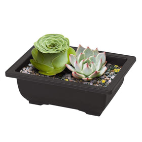 Compact, easy-to-move bonsai pots for home gardens