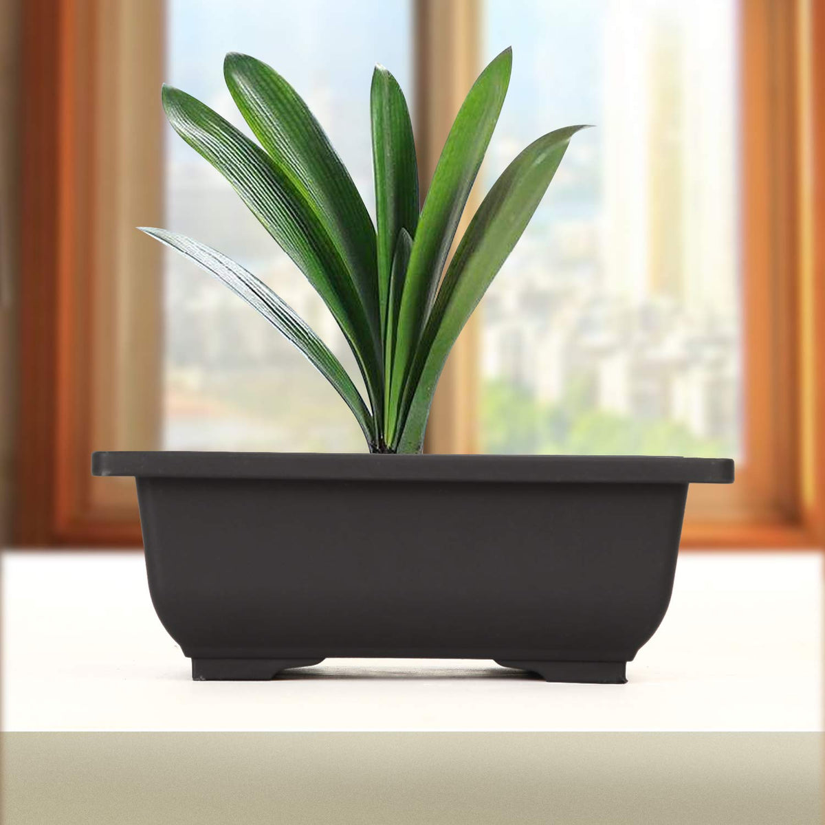 Easy-to-clean KINJOEK plastic planters for indoor use