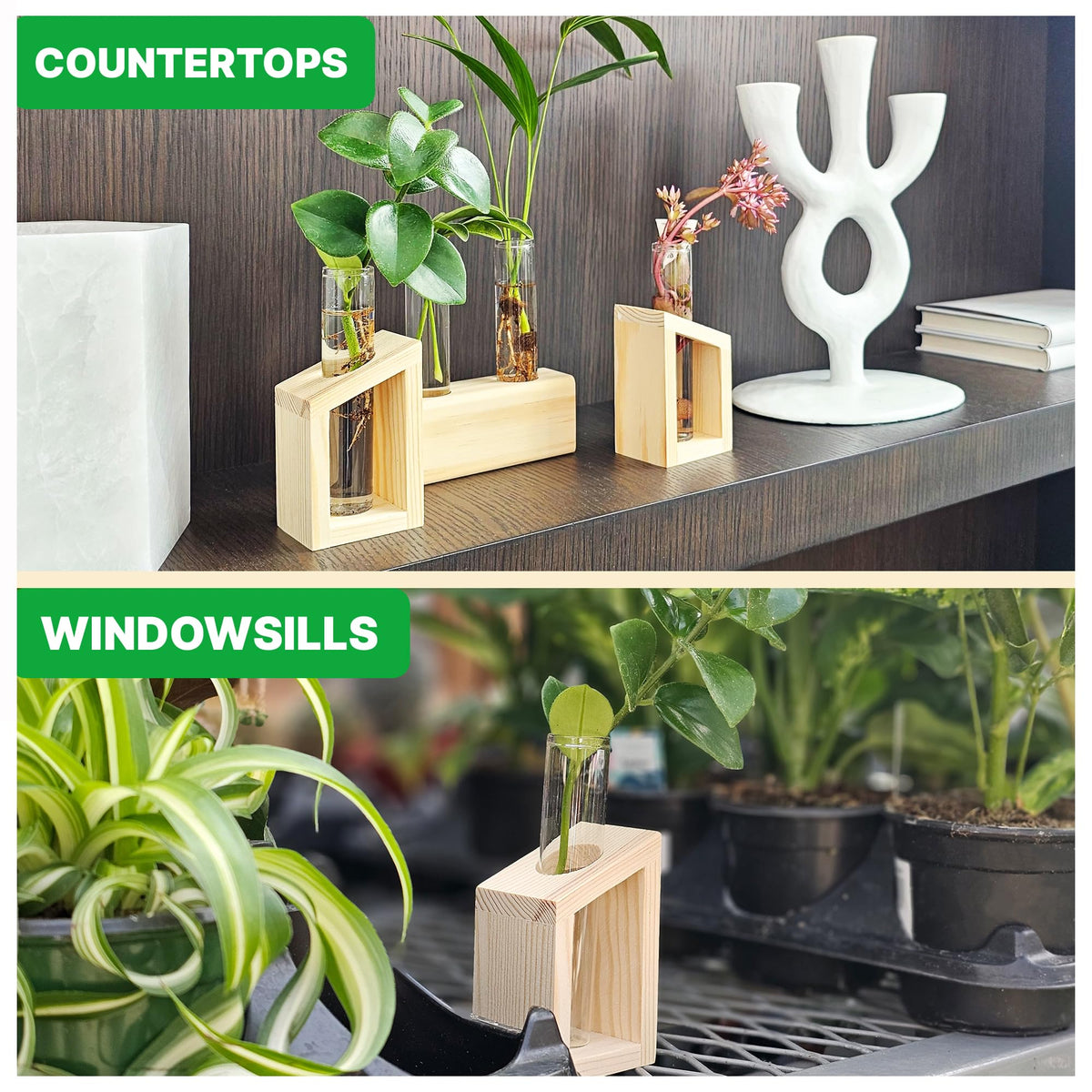Kinroxy four-tube system for plants keeps cuttings organized and visually appealing