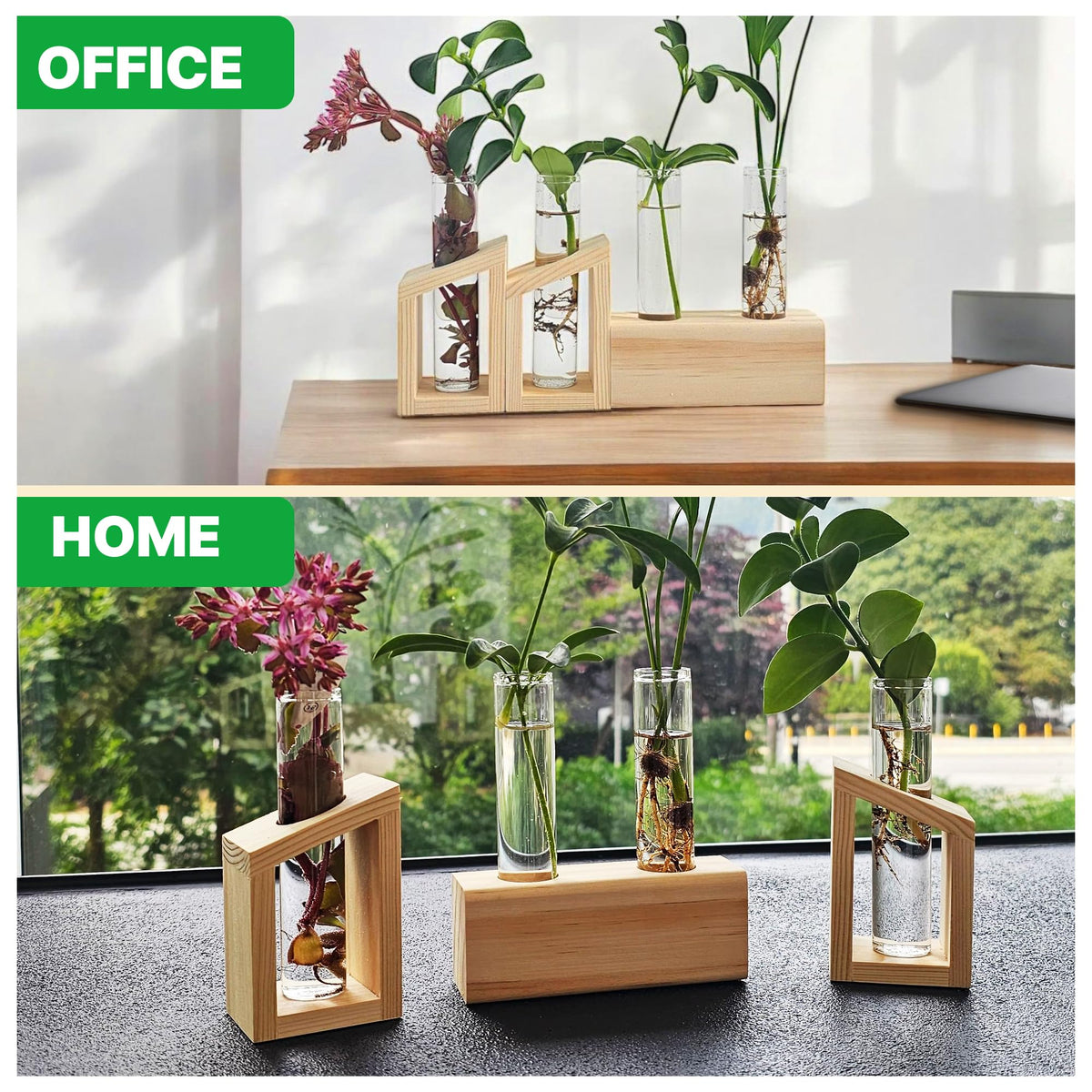 Kinroxy gift-worthy propagation vase set makes a thoughtful plant lover gift