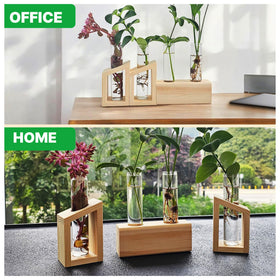 Kinroxy gift-worthy propagation vase set makes a thoughtful plant lover gift