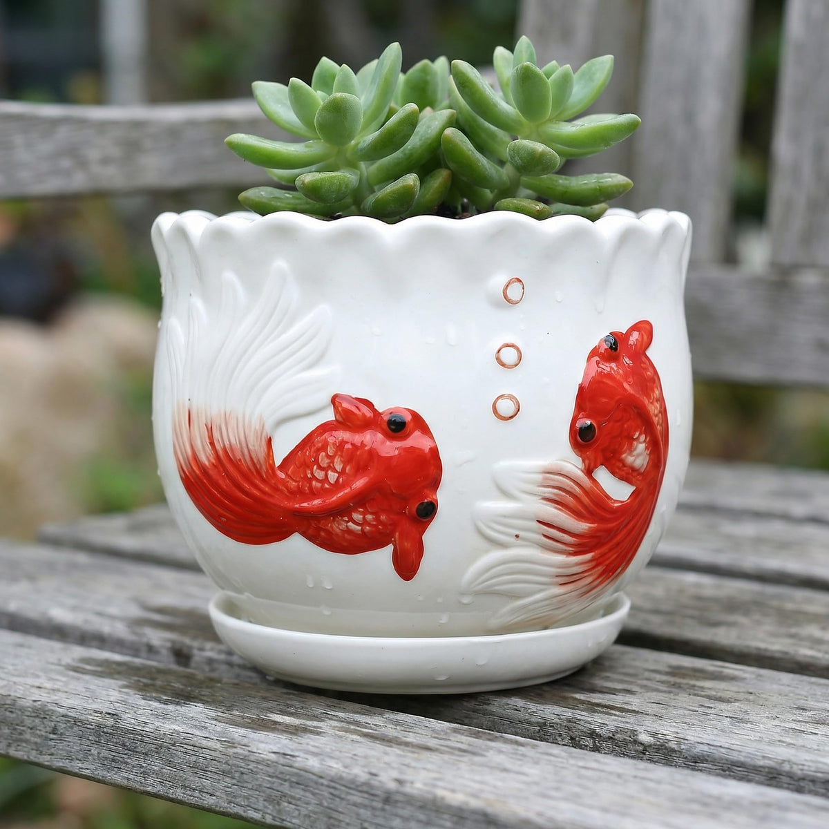 KinzhaoAuroia planter includes drainage hole and saucer to help prevent overwatering.