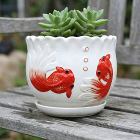 KinzhaoAuroia planter includes drainage hole and saucer to help prevent overwatering.