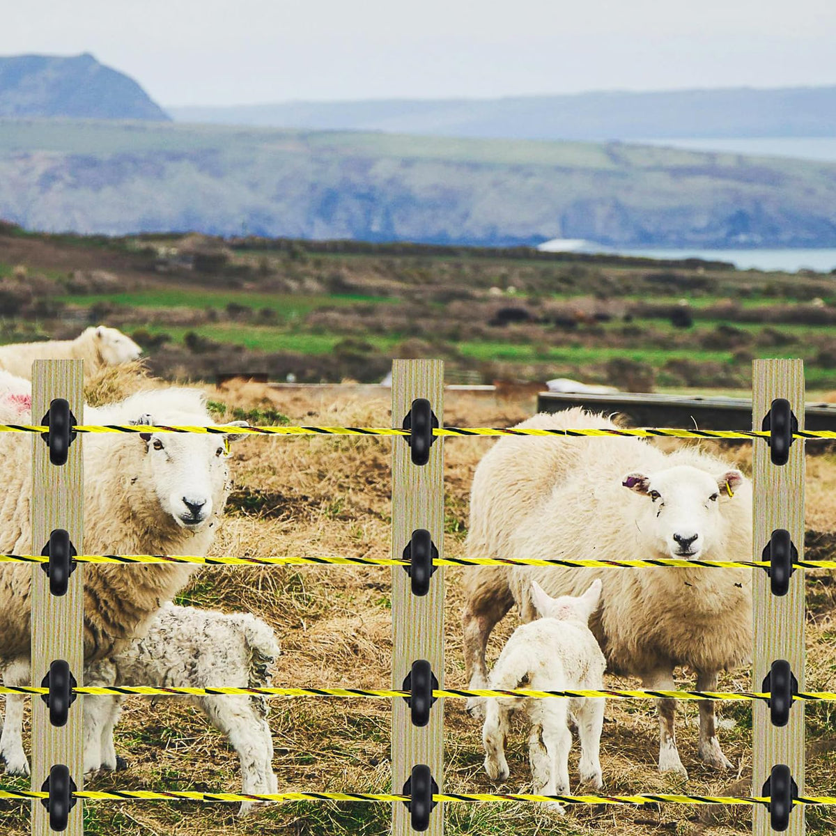 Kiouposy portable fence system suitable for horses, goats, cattle, dogs, and crops