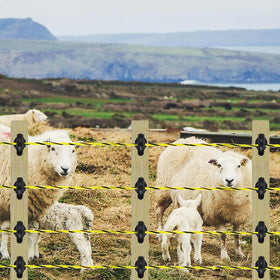Kiouposy portable fence system suitable for horses, goats, cattle, dogs, and crops