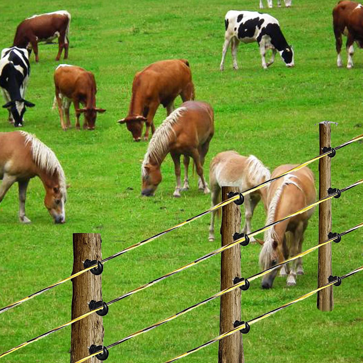 Kiouposy rust- and UV-resistant conductors deliver durable outdoor fencing