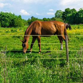 Kiouposy versatile fencing for livestock and crop protection across seasons