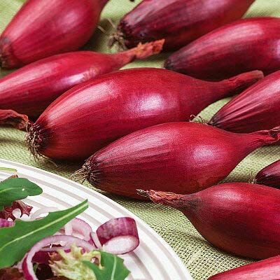 KIRA SEEDS gourmet flavor preview highlights delicate sweetness in dishes.