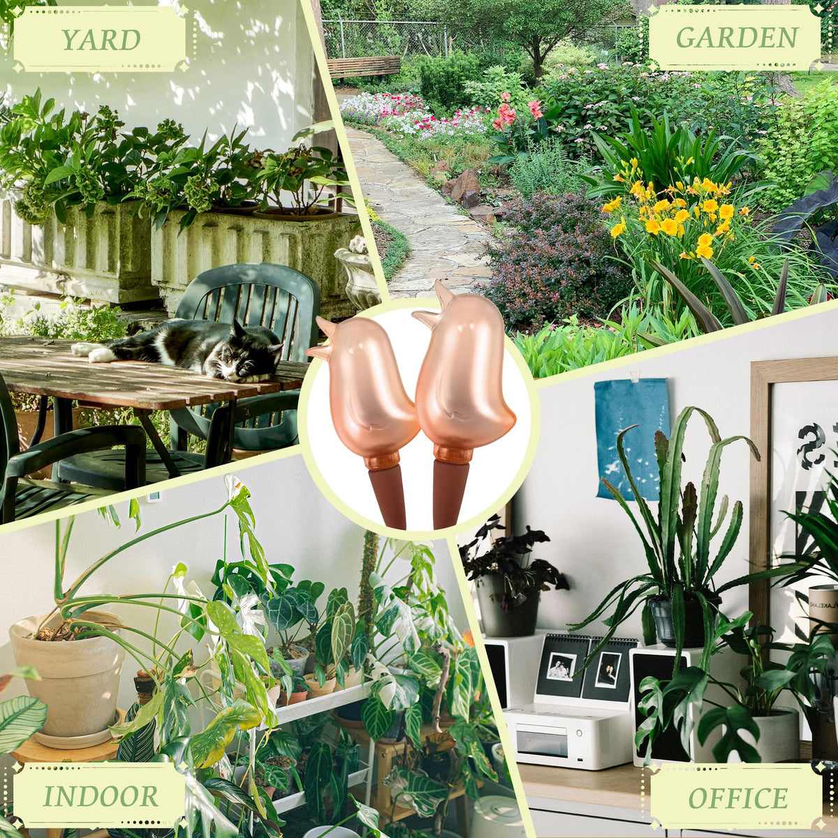 KIROYAL indoor watering spike ensures easy setup and extended moisture between waterings