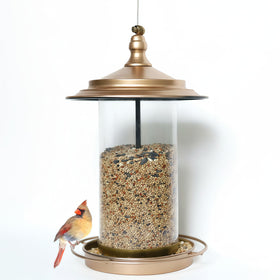 KiRuan Deco bird feeder outdoors with locking lid deters squirrels while feeding birds