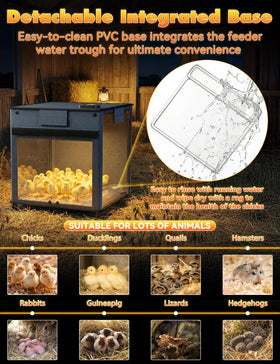 Kiscamgear easy-clean detachable base for quick sanitation.