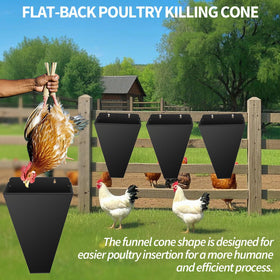 Kisotay cone side angle view highlighting sturdy construction for daily use
