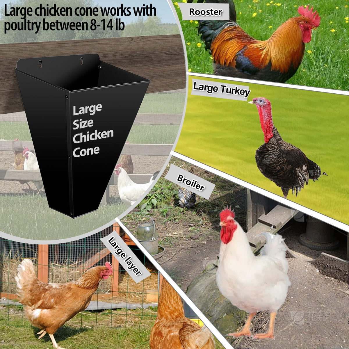 Kisotay large chicken cone top view showing easy cleaning lines