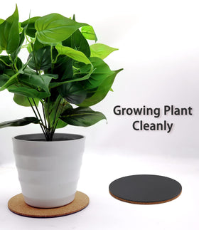 KITLAB six-pack cork coasters keep plant areas tidy and protected.