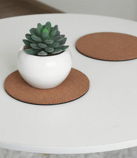 KITLAB coasters are easy to wipe clean after watering sessions.