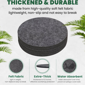 KITLAB 8-inch felt plant coaster absorbs moisture while elevating plant display.