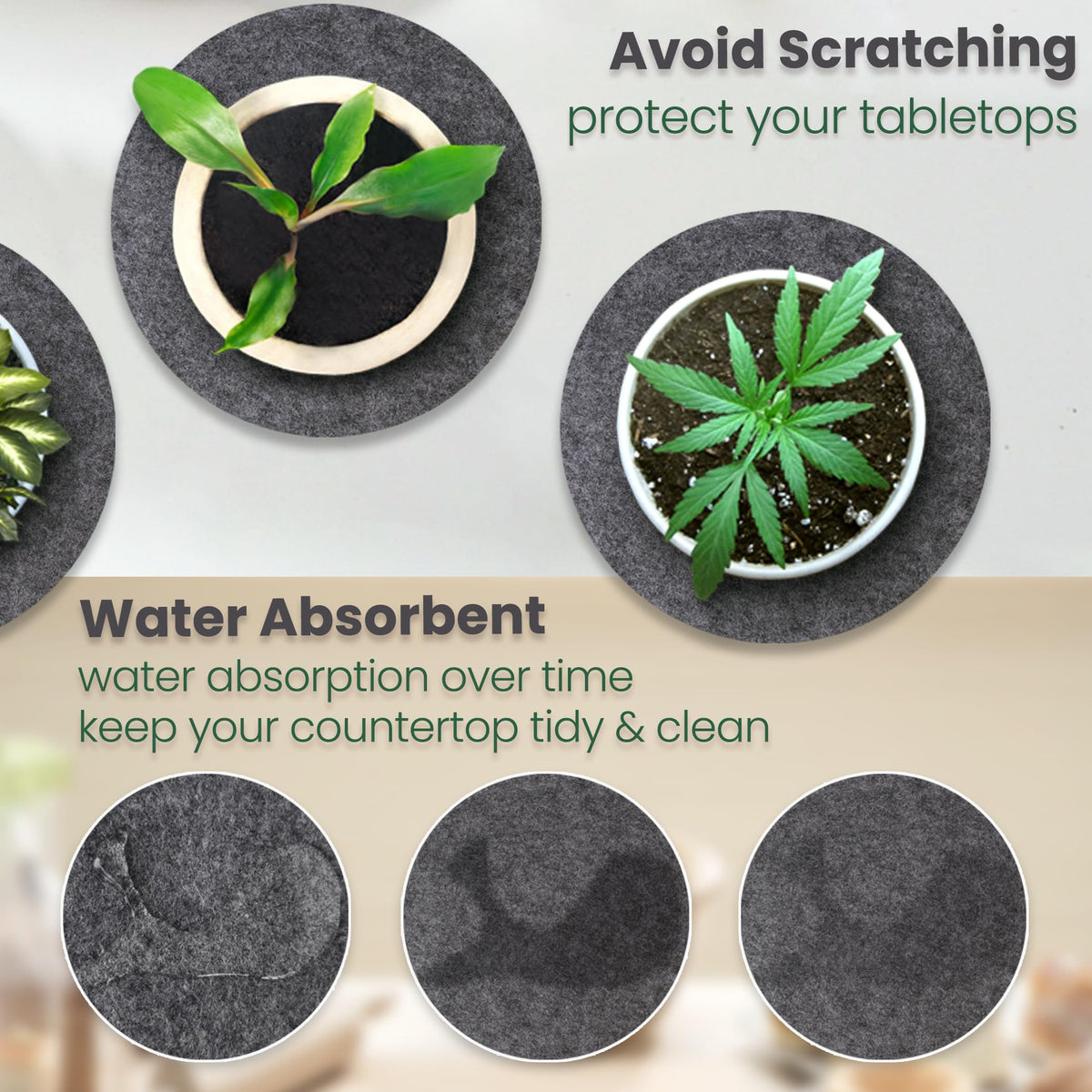 KITLAB plant coasters protect floors when moving planters