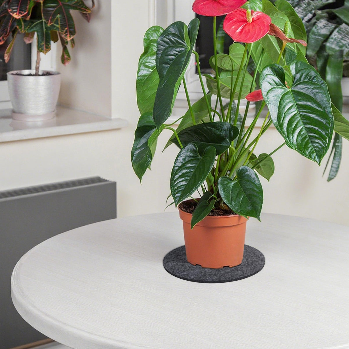 KITLAB coasters double as drying mats for moisture control