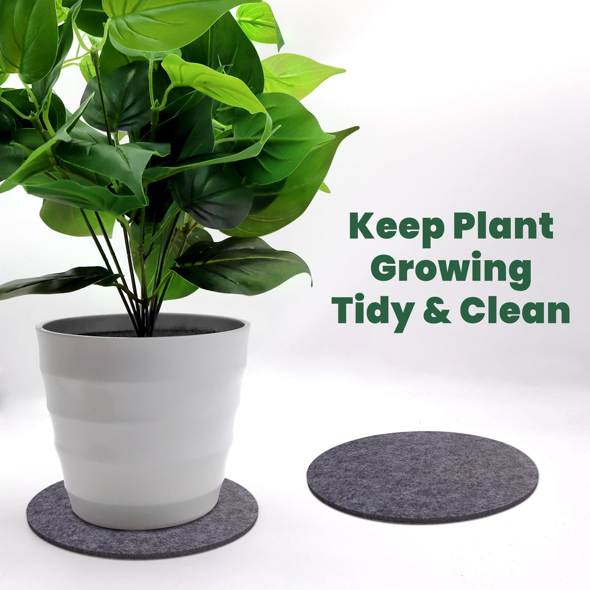 KITLAB plant coasters protect surfaces and simplify cleanups from soil debris.