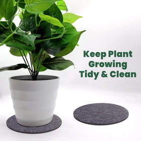 KITLAB plant coasters protect surfaces and simplify cleanups from soil debris.