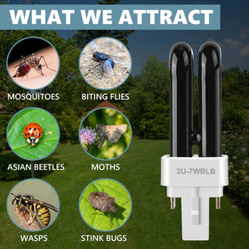 Kittmip four-pack UV bulbs for convenient replacements.