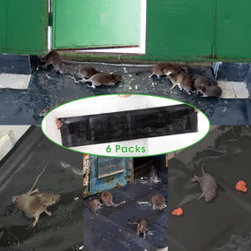 Kittmip anti-tear design prevents tearing during escapes.
