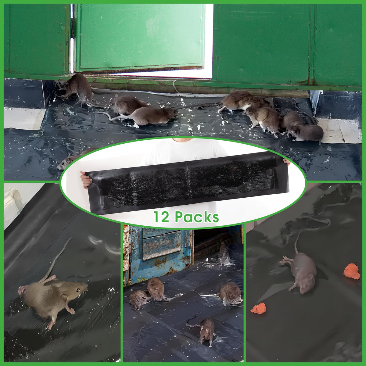 Kittmip indoor-outdoor glue trap ready for kitchens garages or porches