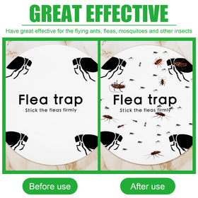 Kittmip kid-and-pet safe indoor trap setup for peace of mind