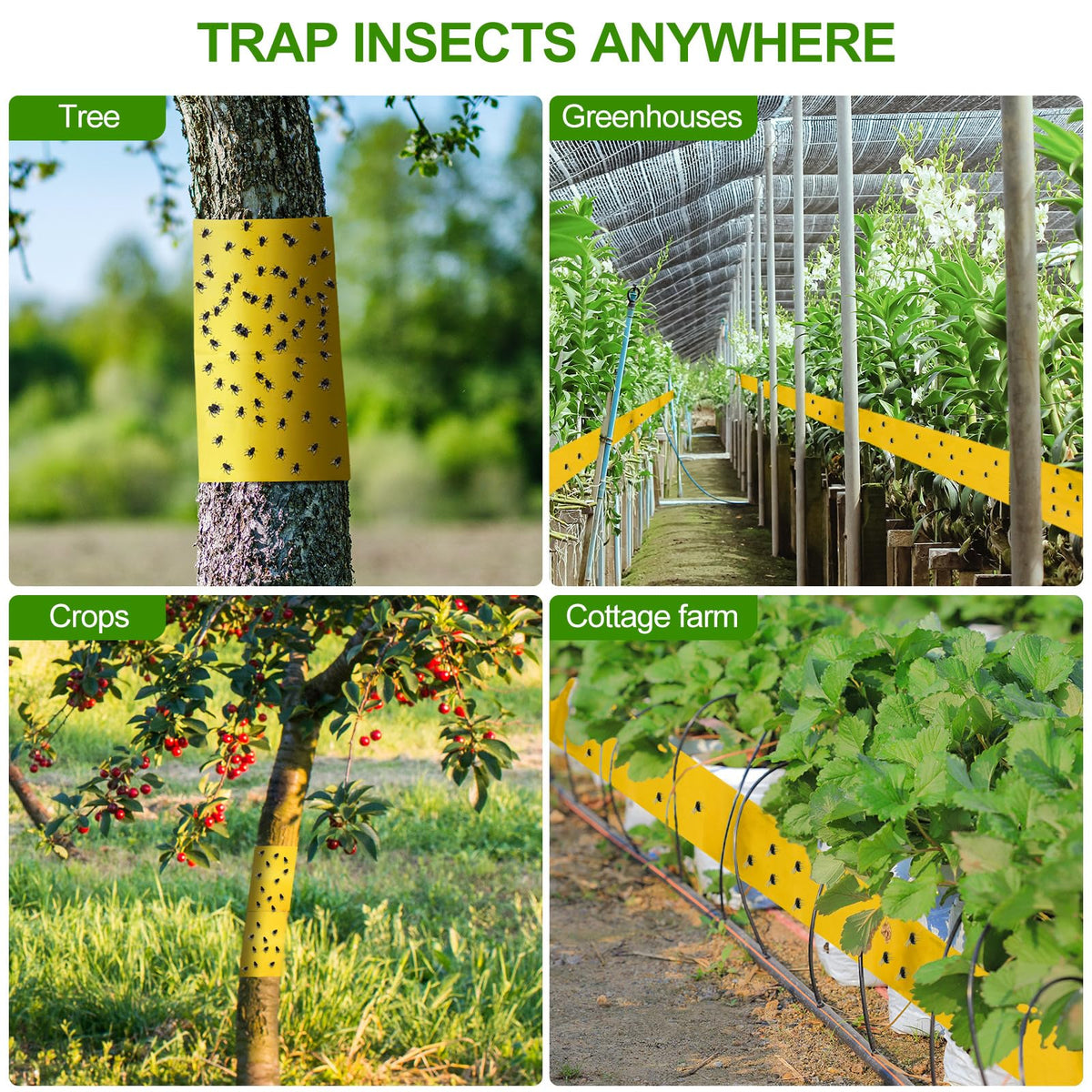 Kittmip trap suitable for both outdoor and indoor garden areas.