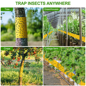 Kittmip trap suitable for both outdoor and indoor garden areas.