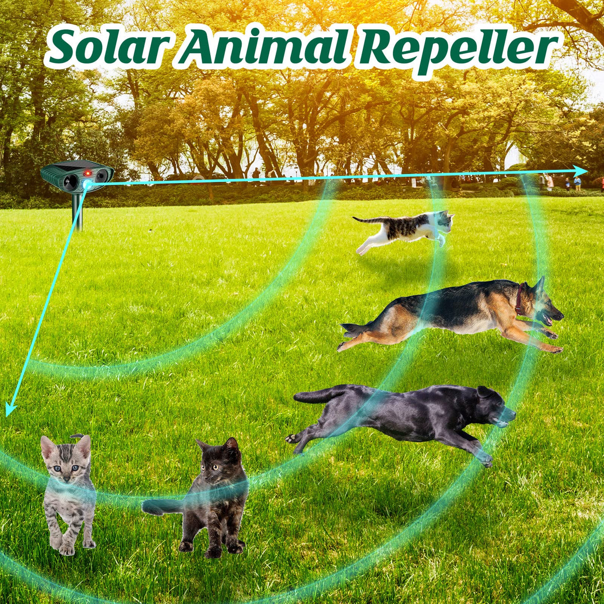 Kittmip Ultrasonic Repeller with motion sensor provides targeted garden defense.