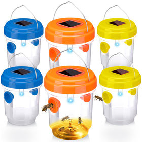 Kittmip Wasp Trap front view with solar UV light attracting insects outdoors