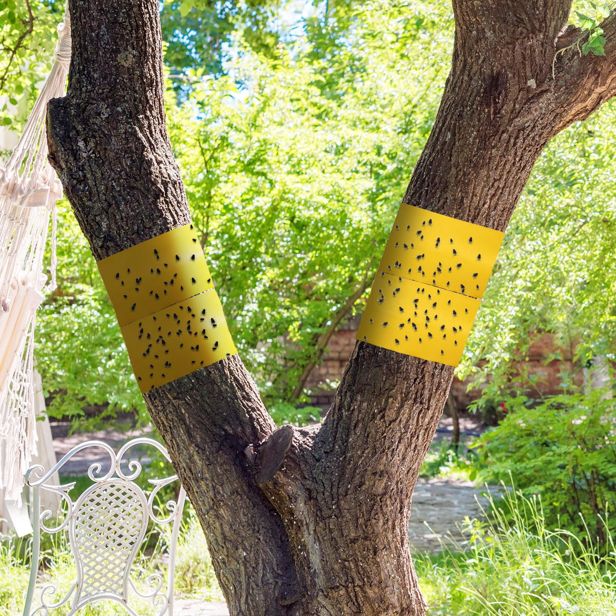 Trap being cut and wrapped around a branch for tailored protection.