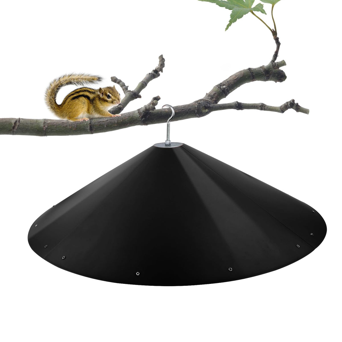 Kitvona 24-inch bigger baffle with wide surface prevents squirrels from reaching feeders