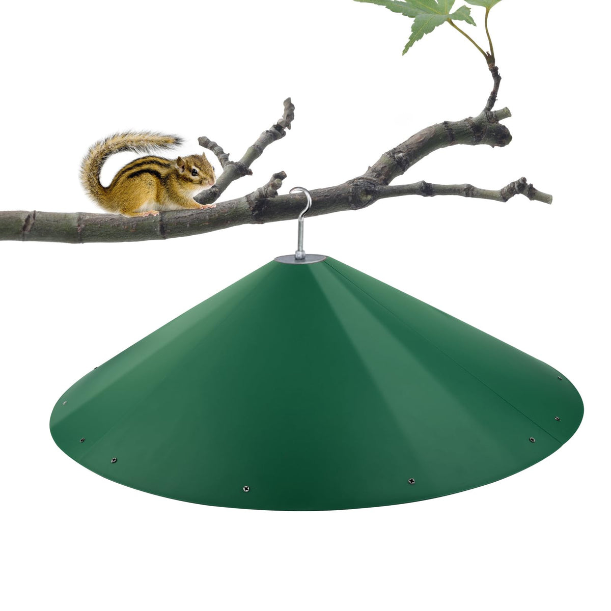 KITVONA 24-inch squirrel baffle on a pole protects feeders from rodents.