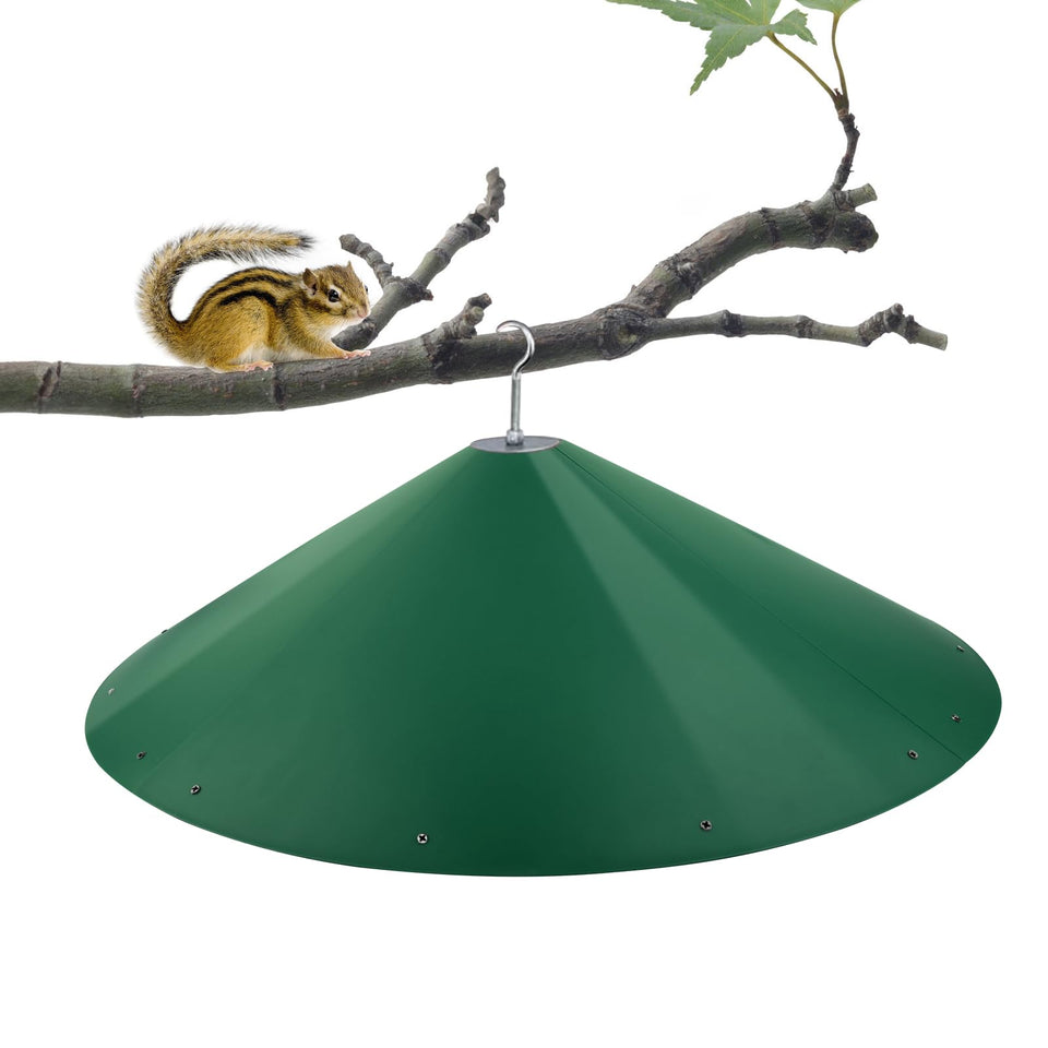 KITVONA 24-inch squirrel baffle on a pole protects feeders from rodents.